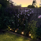 Solar Spotlight Pack - Weatherproof LED Outdoor Lighting 2
