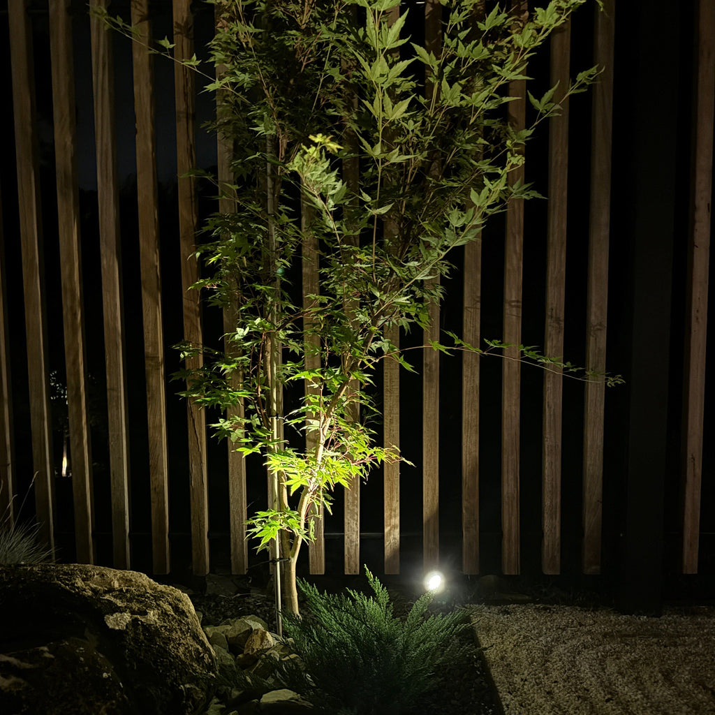 Solar Spotlight Pack - Weatherproof LED Outdoor Lighting 3