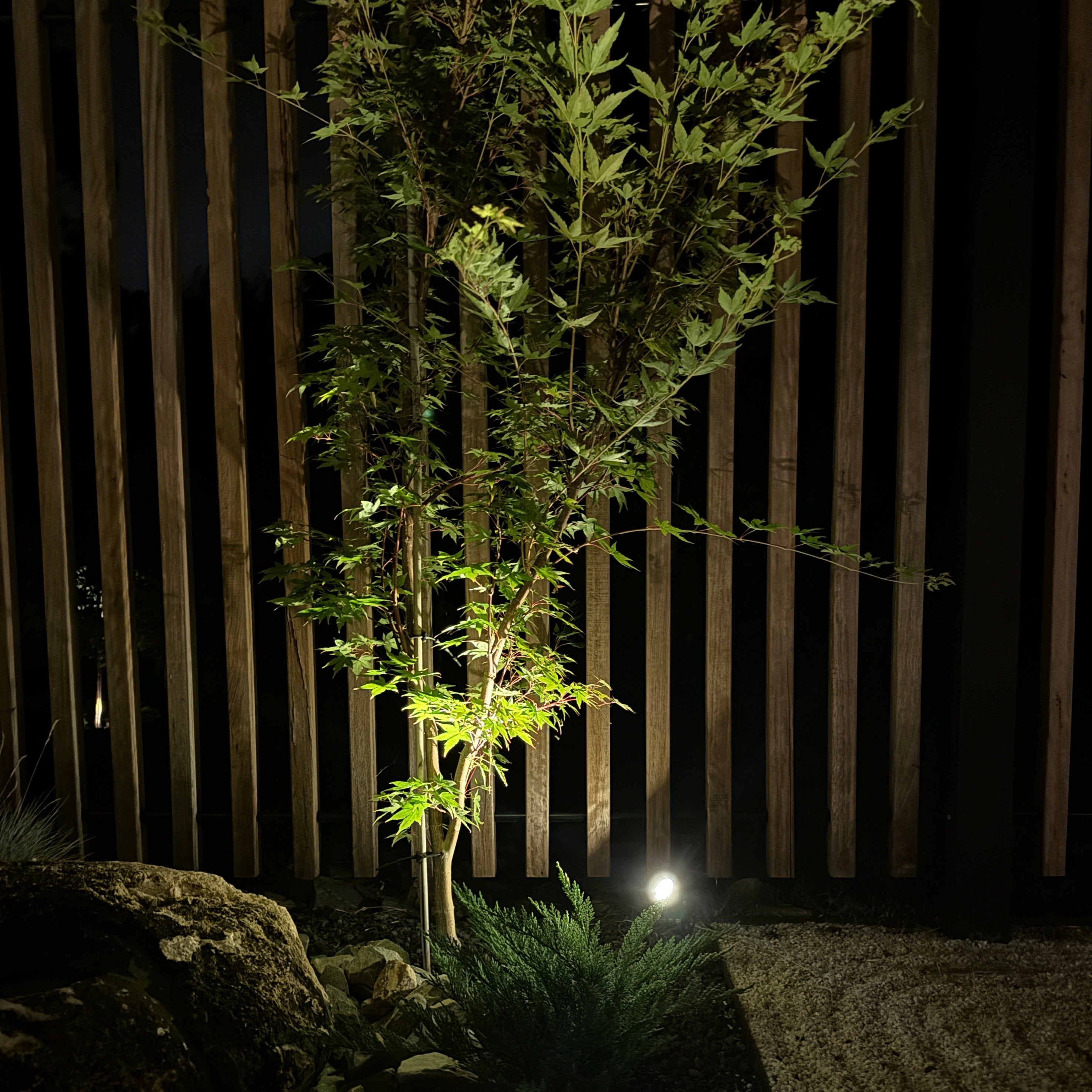 Solar Spotlight Pack - Weatherproof LED Outdoor Lighting 3