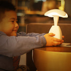 Touch Control Rechargeable Desk Lamp - Compact Cordless LED Light 4