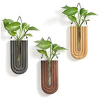 Three wall-mounted planters with plants on a white background