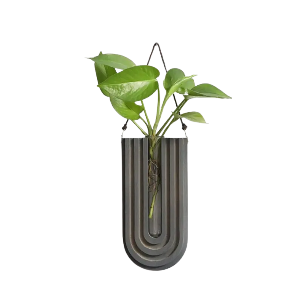 U-shaped wall-mounted planter with a green plant on a white background