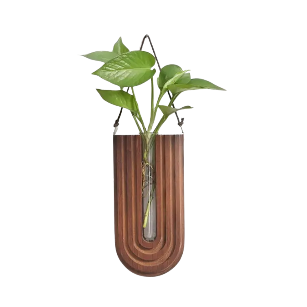 Wooden U-shaped hanging planter with a plant on a white background