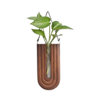 Wooden U-shaped hanging planter with a plant on a white background