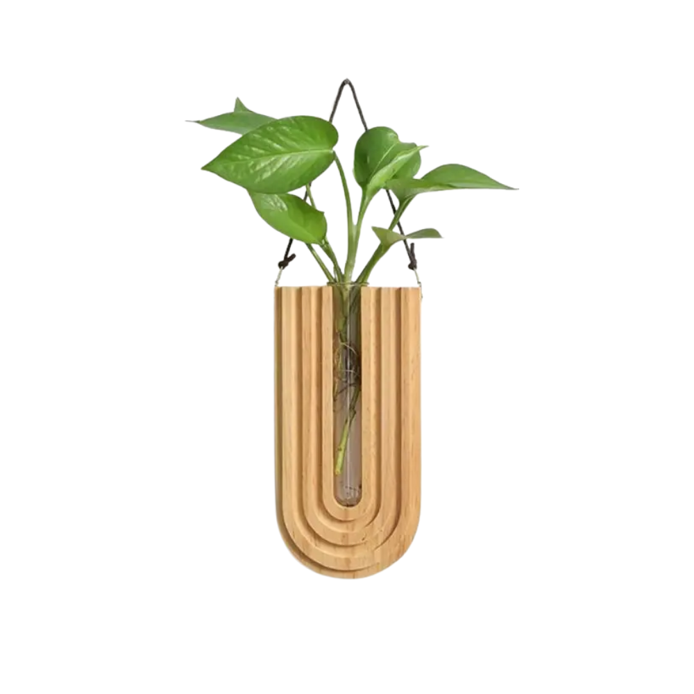 Wooden wall-mounted plant holder with a plant on a white background