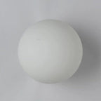 Wall Sconce Glass Globe Metal LED Compatible 4