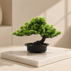 Bonsai tree in a black pot on a marble surface with a neutral background