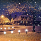 Snowy night scene with a house, bare trees, and illuminated pathway lights.