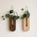 Two wall-mounted planters with hanging plants on a plain background