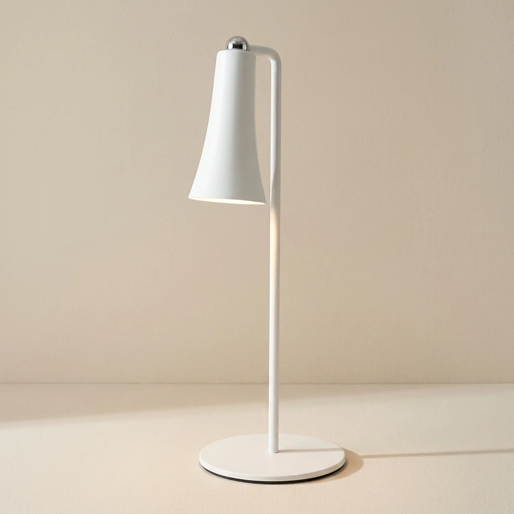 Multifunctional LED Desk Lamp