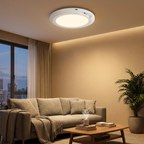 Modern living room with a ceiling light fixture, sofa, coffee table, and plant.