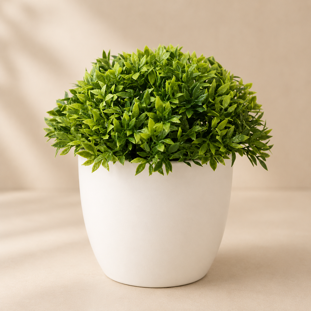 Green potted plant in a white pot on a beige background