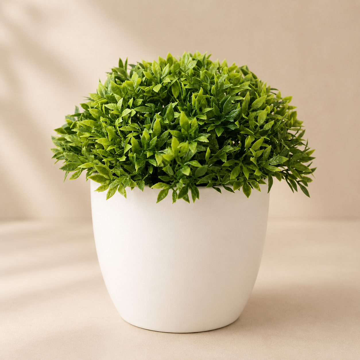 Green potted plant in a white pot on a beige background