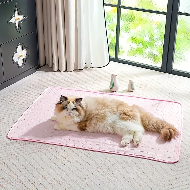 Cat lying on a pink pet mat in a room with a window and furniture.