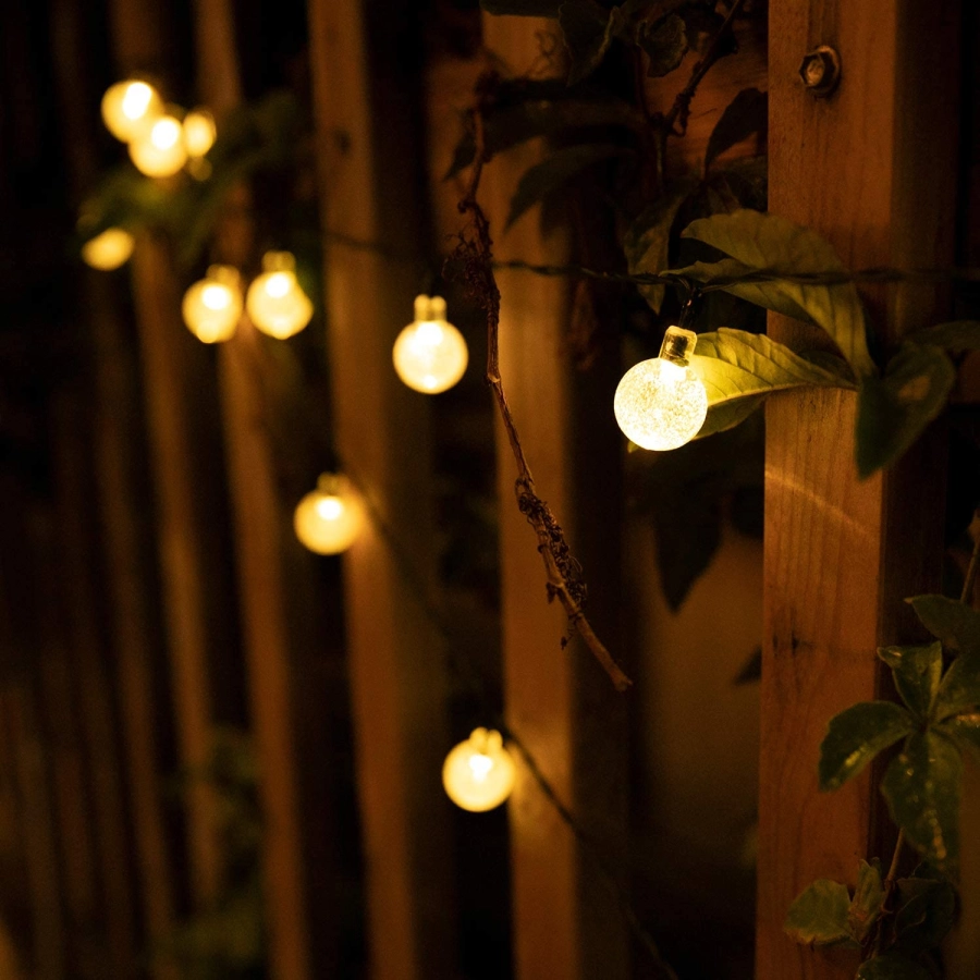 String of lights hanging among plants against a wooden fence at night.