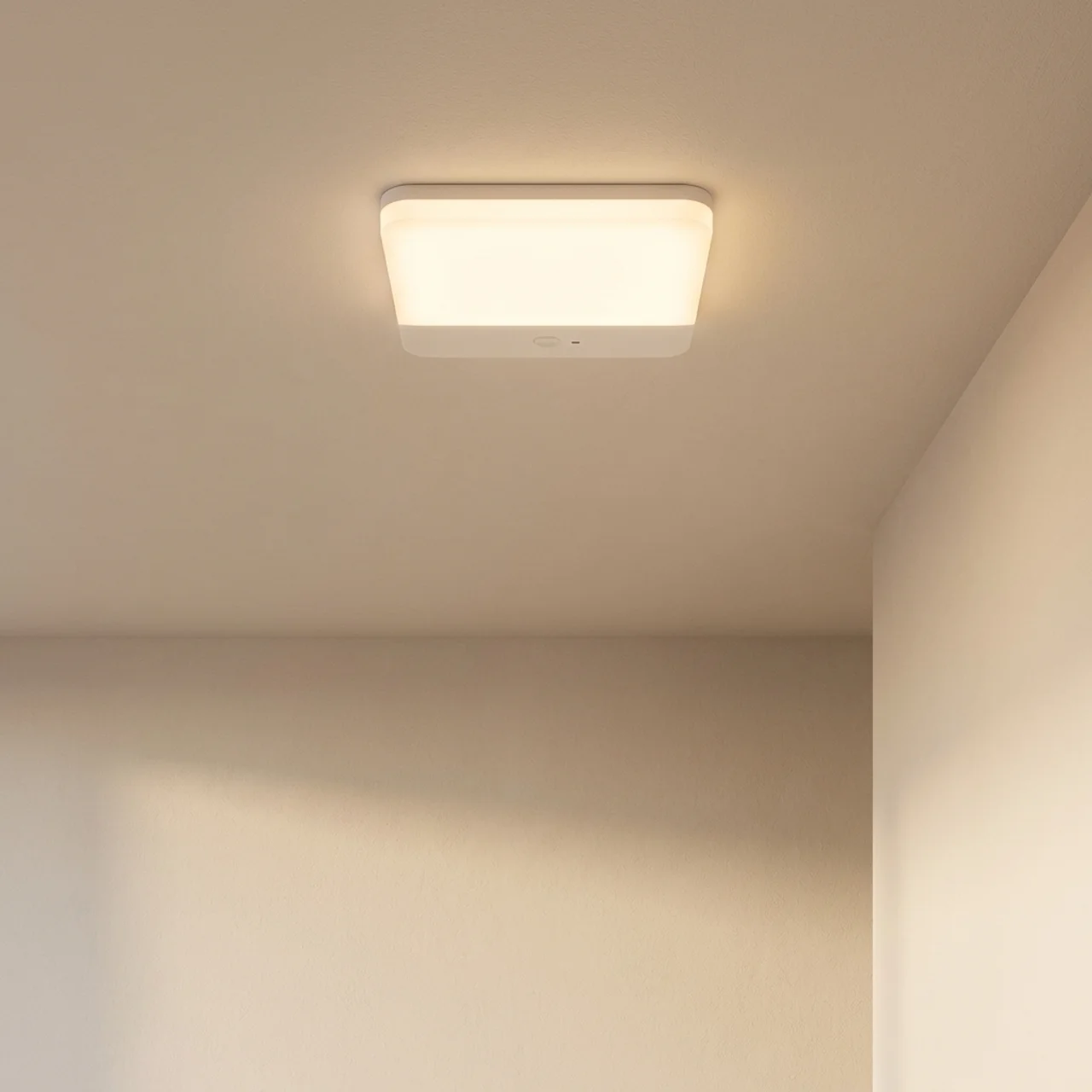 Ceiling light fixture on a neutral ceiling and wall