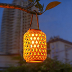 Decorative lantern hanging from a tree branch with buildings in the background