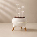 White and wooden device emitting mist on a beige background