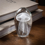 A clear glass egg-shaped decorative object featuring an etched white jellyfish design, displayed on a wooden table next to stacked books.