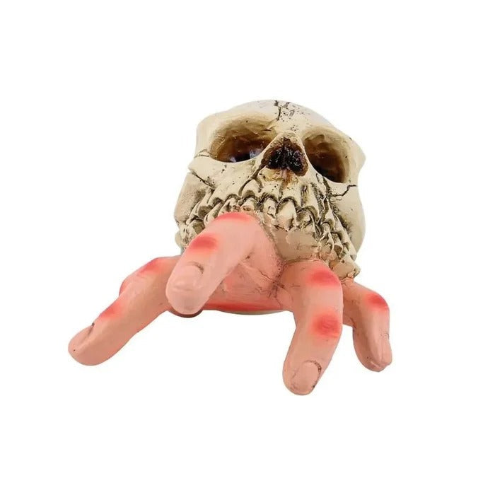 Skull with a hand holding a finger on a white background