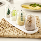 Four glass dome terrariums with miniature plants on a white tray, woven placemat, and plate of food