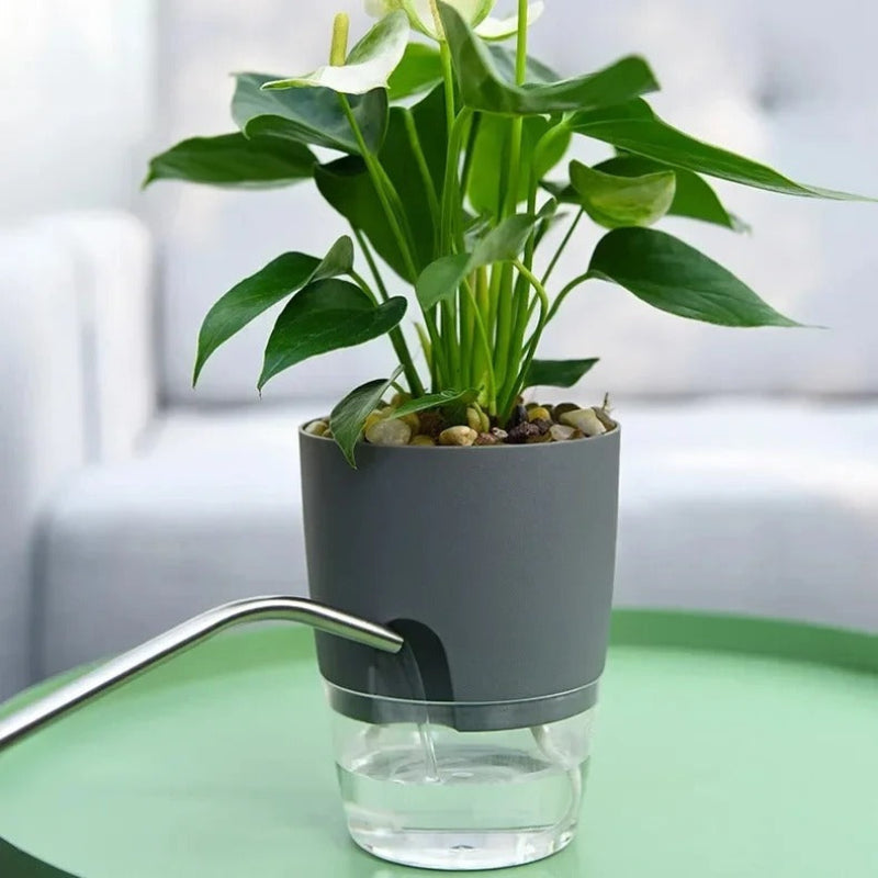 Self Watering Planter PP PET Material Plant Pot
